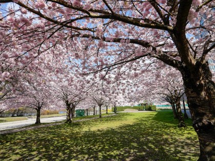Photo 21 at 101 - 1845 Robson Street, West End VW, Vancouver West
