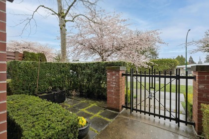 Photo 9 at 5423 Willow Street, Cambie, Vancouver West