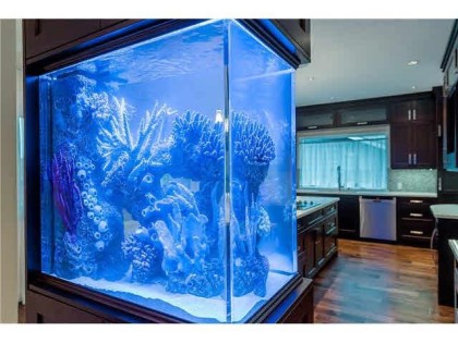 Photo 15 at 839 W 20th Street, Mosquito Creek, North Vancouver