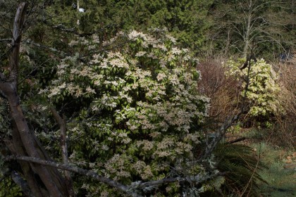 Photo 23 at 26 Brighton Beach, Indian Arm, North Vancouver