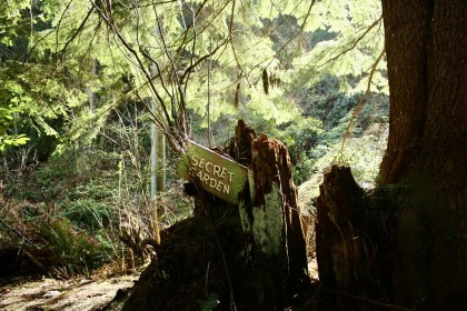 Photo 32 at 26 Brighton Beach, Indian Arm, North Vancouver