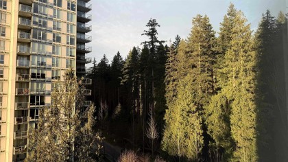 Photo 6 at 1004 - 5629 Birney Avenue, University VW, Vancouver West