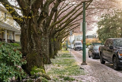 Photo 37 at 261 E 4th Street, Lower Lonsdale, North Vancouver