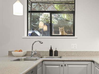 Photo 29 at 232 W 14th Avenue, Mount Pleasant VW, Vancouver West