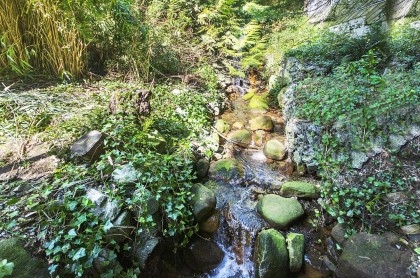 Photo 33 at 4540 Mountain Highway, Lynn Valley, North Vancouver