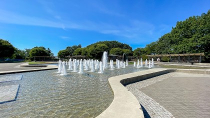 Photo 27 at 219 W 42nd Avenue, Oakridge VW, Vancouver West