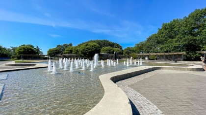 Photo 26 at 219 W 42nd Avenue, Oakridge VW, Vancouver West