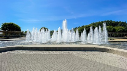 Photo 28 at 219 W 42nd Avenue, Oakridge VW, Vancouver West