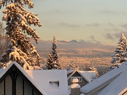 Photo 35 at 2820 W 32nd Avenue, MacKenzie Heights, Vancouver West