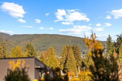 Photo 31 at 3206 Highland Boulevard, Edgemont, North Vancouver