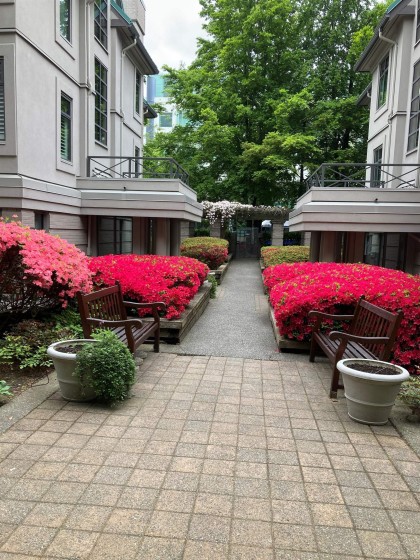 Photo 26 at E102 - 628 W 12th Avenue, Fairview VW, Vancouver West