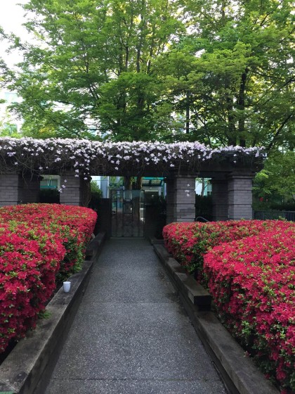 Photo 25 at E102 - 628 W 12th Avenue, Fairview VW, Vancouver West