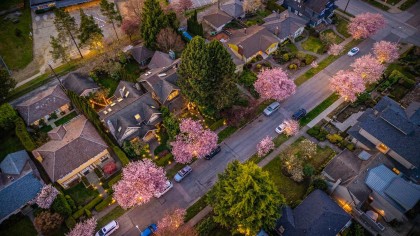 Photo 5 at 4049 W 27th Avenue, Dunbar, Vancouver West