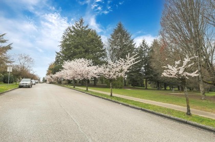 Photo 23 at 14 W 37th Avenue, Cambie, Vancouver West