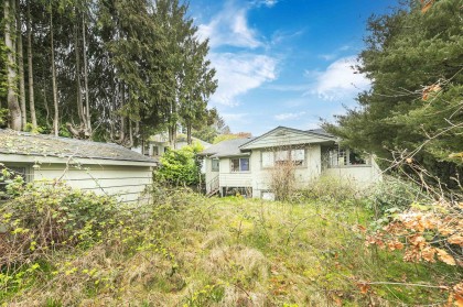 Photo 12 at 14 W 37th Avenue, Cambie, Vancouver West