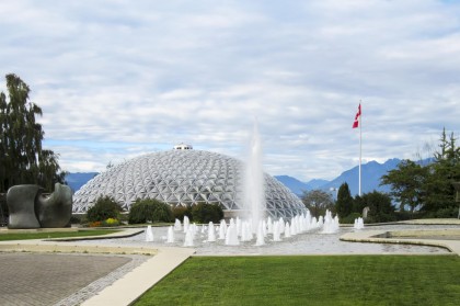 Photo 25 at 14 W 37th Avenue, Cambie, Vancouver West