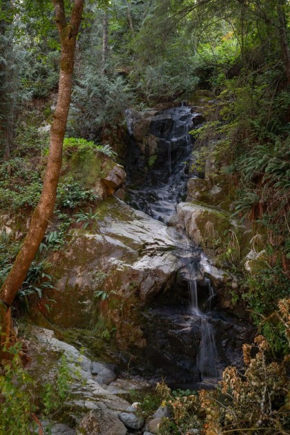 Photo 34 at 5439 Indian River Drive, Woodlands-Sunshine-Cascade, North Vancouver