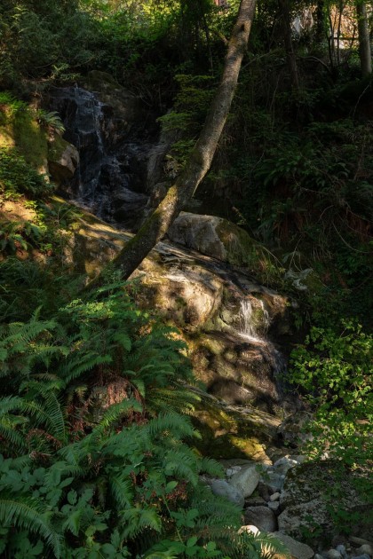 Photo 8 at 5439 Indian River Drive, Woodlands-Sunshine-Cascade, North Vancouver