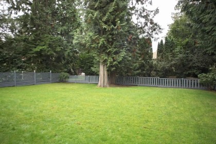 Photo 17 at 1025 Clements Avenue, Canyon Heights NV, North Vancouver