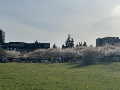 Photo 33 at 233 Waterleigh Drive, Marpole, Vancouver West