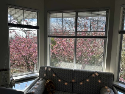 Photo 15 at 233 Waterleigh Drive, Marpole, Vancouver West