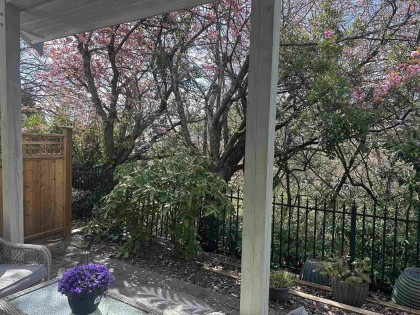 Photo 4 at 233 Waterleigh Drive, Marpole, Vancouver West