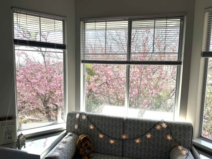 Photo 21 at 233 Waterleigh Drive, Marpole, Vancouver West