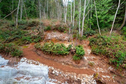 Photo 36 at 2867 Panorama Drive, Deep Cove, North Vancouver