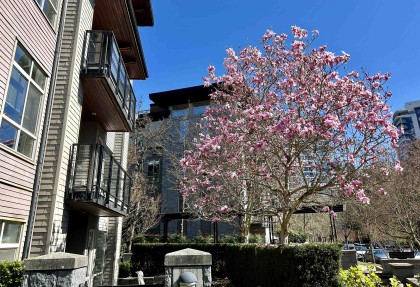 Photo 19 at 128 - 5777 Birney Avenue, University VW, Vancouver West