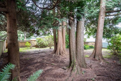 Photo 38 at 1634 Ross Road, Lynn Valley, North Vancouver