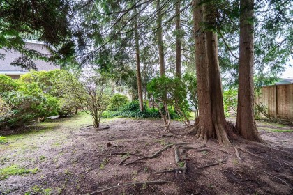 Photo 37 at 1634 Ross Road, Lynn Valley, North Vancouver