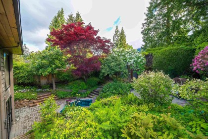 Photo 36 at 4096 Sunset Boulevard, Canyon Heights NV, North Vancouver