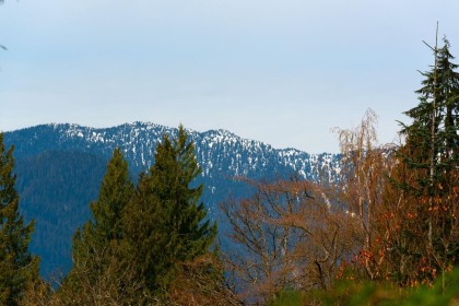 Photo 12 at 647 Blueridge Avenue, Canyon Heights NV, North Vancouver