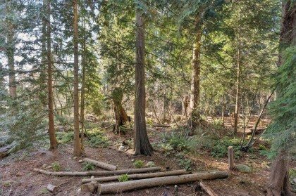 Photo 20 at 208 - 2375 Emery Court, Lynn Valley, North Vancouver