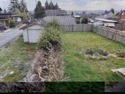 Photo 3 at 535 E 8th Street, Boulevard, North Vancouver