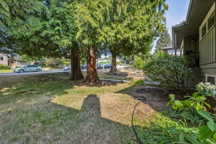Photo 39 at 415 W 26th Street, Upper Lonsdale, North Vancouver
