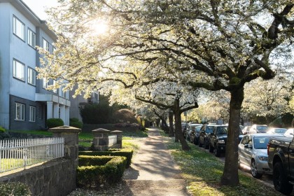 Photo 32 at 2240 York Avenue, Kitsilano, Vancouver West
