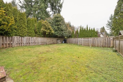 Photo 39 at 3638 Maginnis Avenue, Lynn Valley, North Vancouver