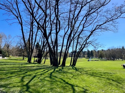 Photo 20 at 1314 - 4655 Valley Drive, Quilchena, Vancouver West