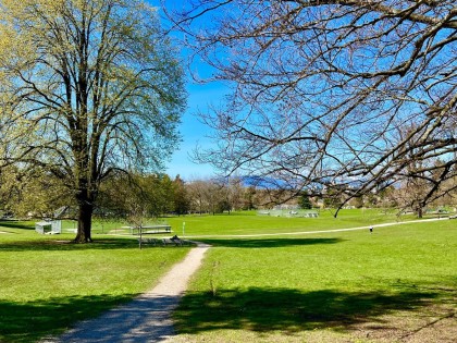 Photo 21 at 1314 - 4655 Valley Drive, Quilchena, Vancouver West