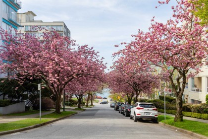 Photo 27 at 302 - 1406 Harwood Street, West End VW, Vancouver West