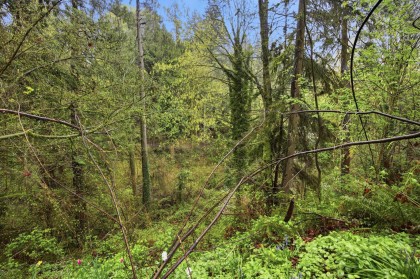 Photo 35 at 1852 Larson Road, Central Lonsdale, North Vancouver