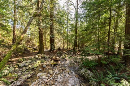 Photo 37 at 3398 William Avenue, Lynn Valley, North Vancouver