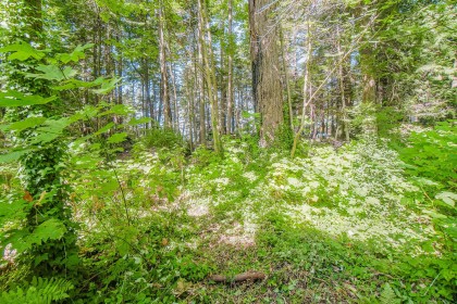 Photo 11 at 55 Passage Island, Passage Island, West Vancouver