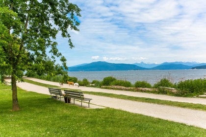 Photo 27 at 3086 W 2nd Avenue, Kitsilano, Vancouver West