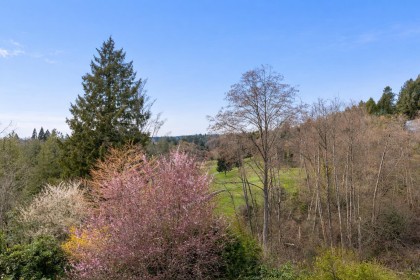 Photo 13 at 2236 Yewbrook Place, Southlands, Vancouver West