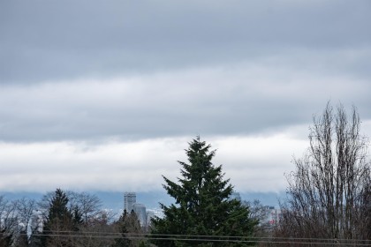 Photo 28 at 4170 Columbia Street, Cambie, Vancouver West
