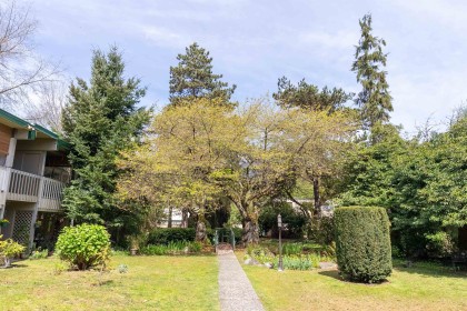 Photo 27 at 844 Westview Drive, Mosquito Creek, North Vancouver