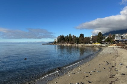 Photo 22 at 101 - 1737 Duchess Avenue, Ambleside, West Vancouver