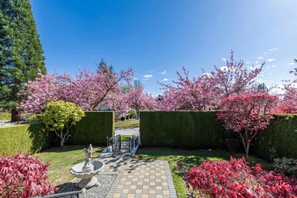 Photo 5 at 3587 W 38th Avenue, Dunbar, Vancouver West